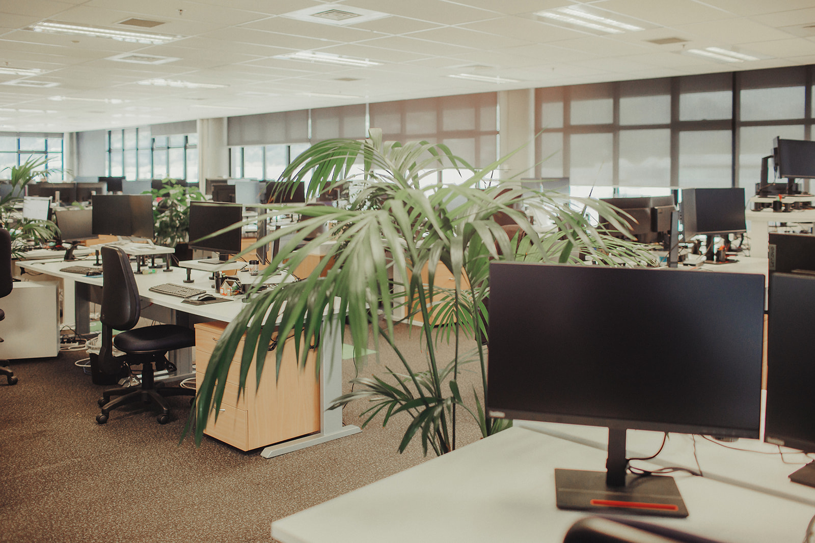 pay your staff correctly with smartly