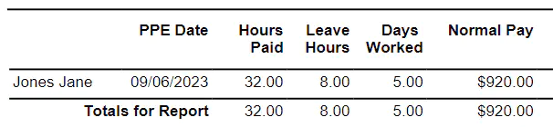 Employee pay report